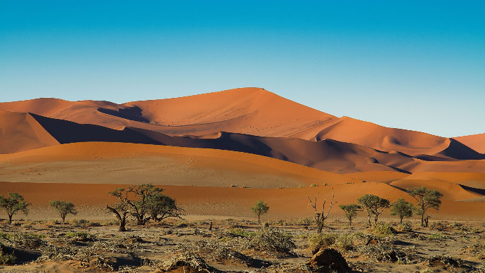 Paysage désertique époustouflant de Sossusvlei avec des dunes rouges et une végétation clairsemée en Namibie.