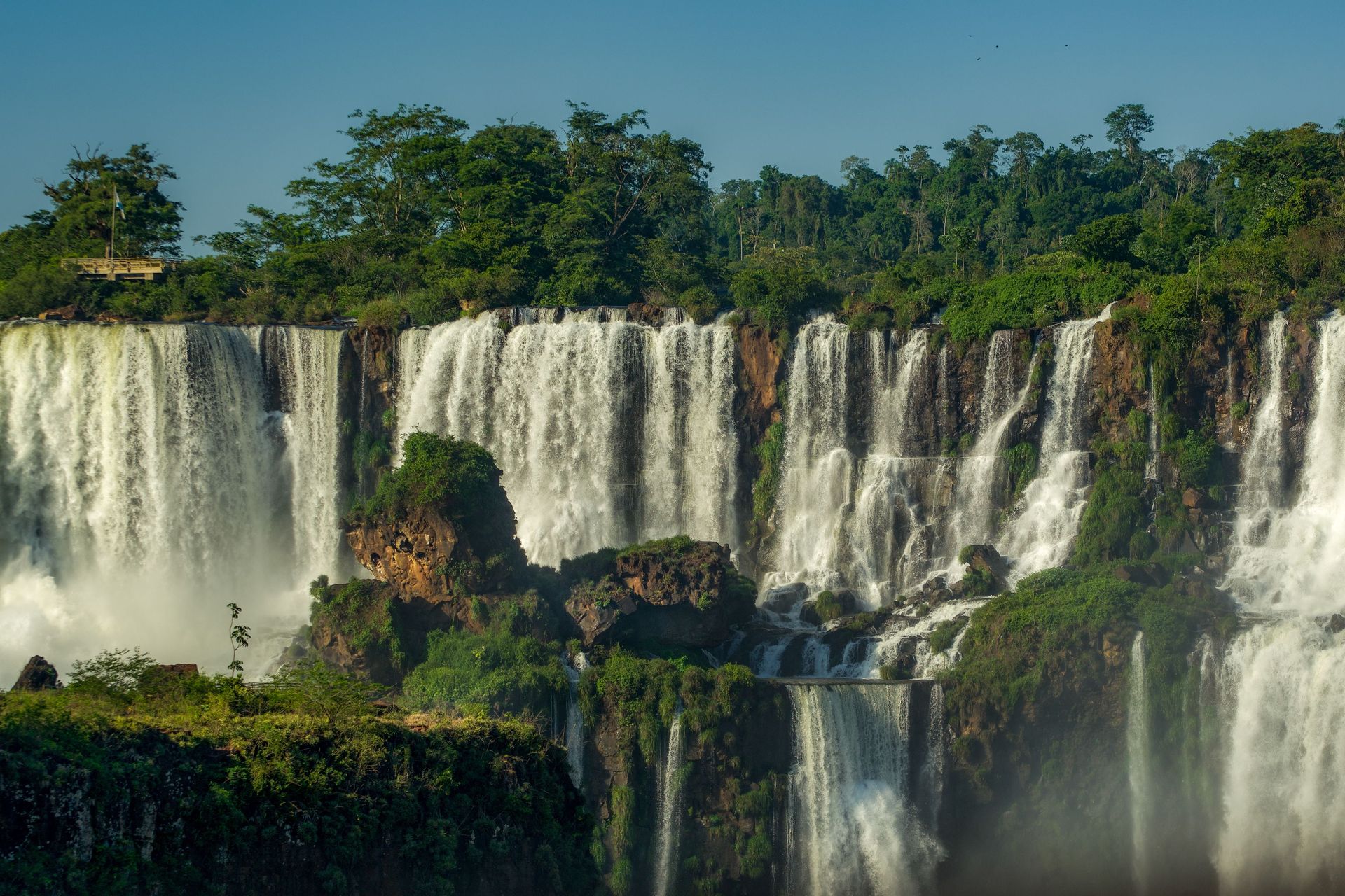 Vue imprenable sur les chutes d'Iguazu entourées d'une végétation luxuriante dans le parc national d'Iguazu en Argentine.