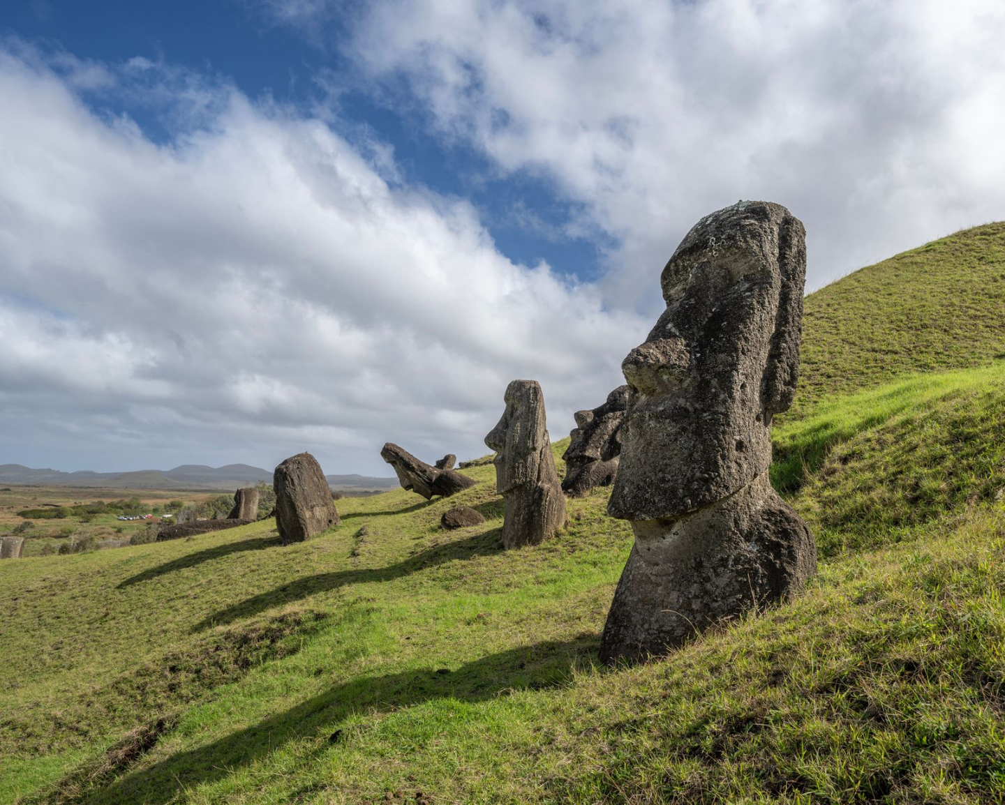 Des statues Moai majestueuses sur les collines herbeuses de l'île de Pâques sous un ciel bleu