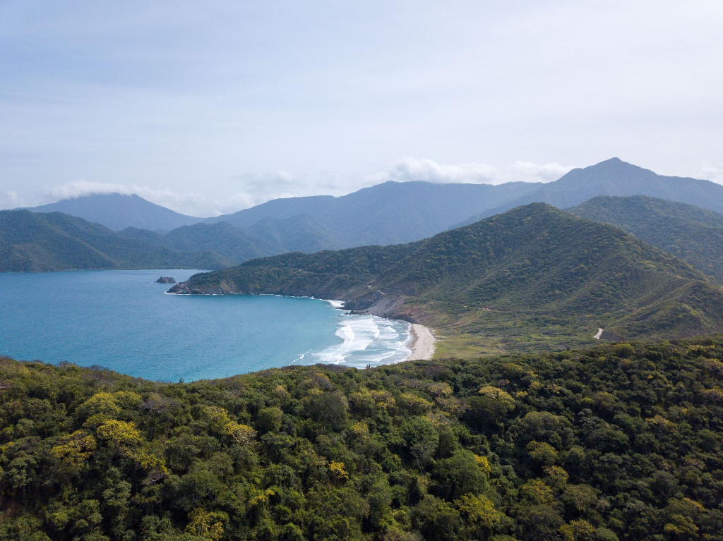 Une vue aérienne à couper le souffle de la côte du Parc National Tayrona avec une végétation luxuriante et des vagues océaniques.