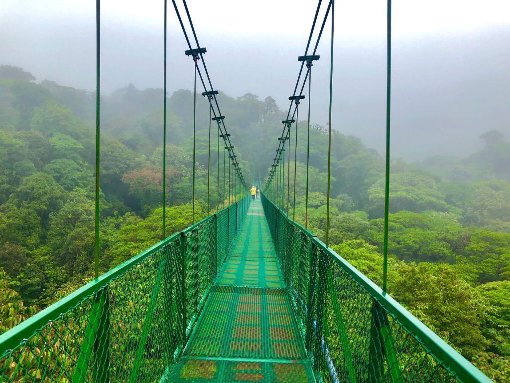 pont suspendu dans la forêt des nuages - Monteverde