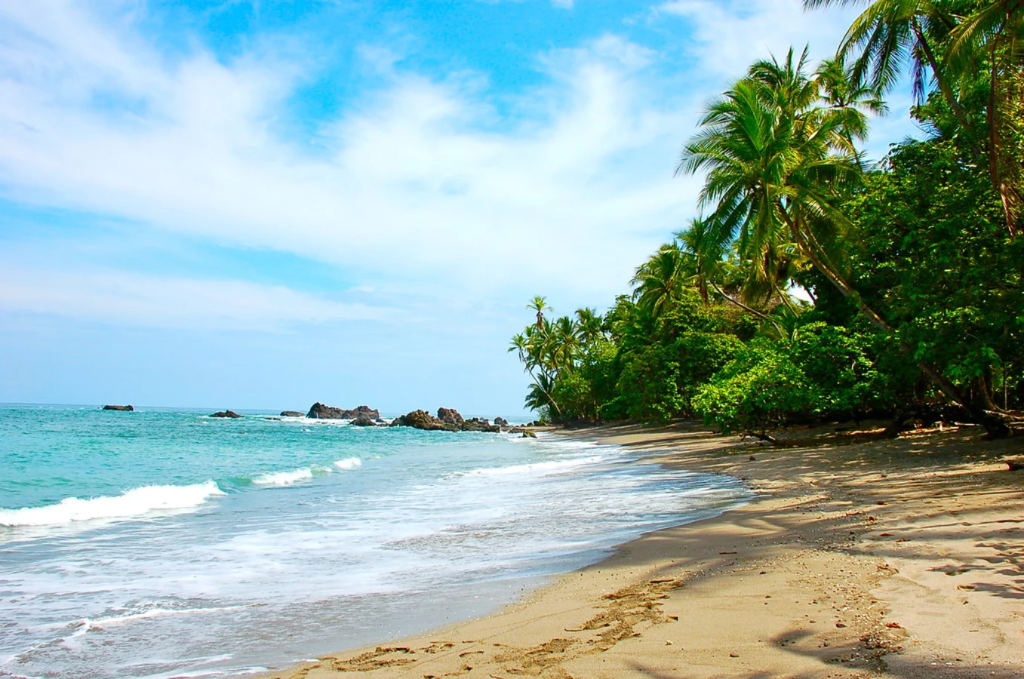 Vue d'une plage entourée de végétations de la péninsule d'Osa au Costa Rica
