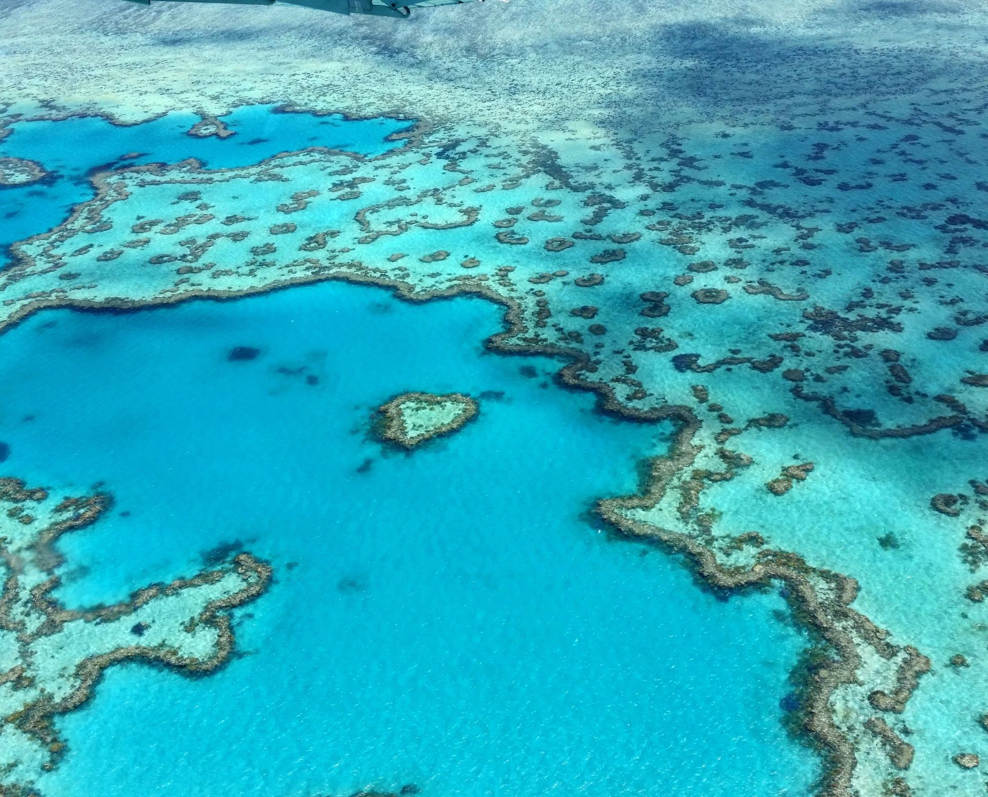 Photographie aérienne époustouflante du récif de la Grande Barrière de Corail en forme de cœur dans les Whitsundays, Australie.