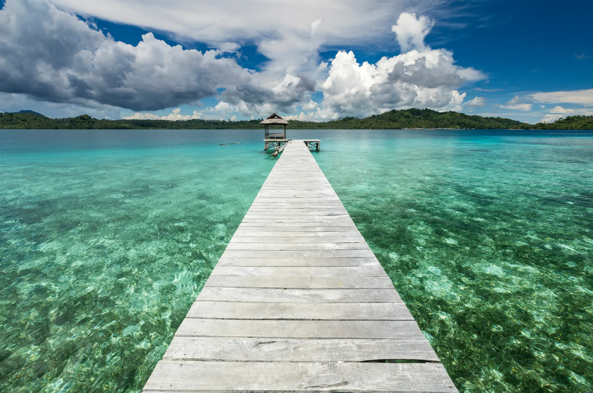 Jetée en bois construite sur la barrière de corail à Sulawesi en Indonésie
