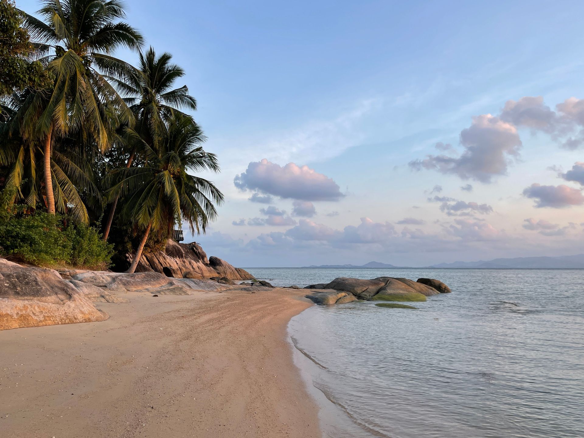 Scène de plage tropicale paisible avec des palmiers, du sable et des rochers sous un ciel bleu.