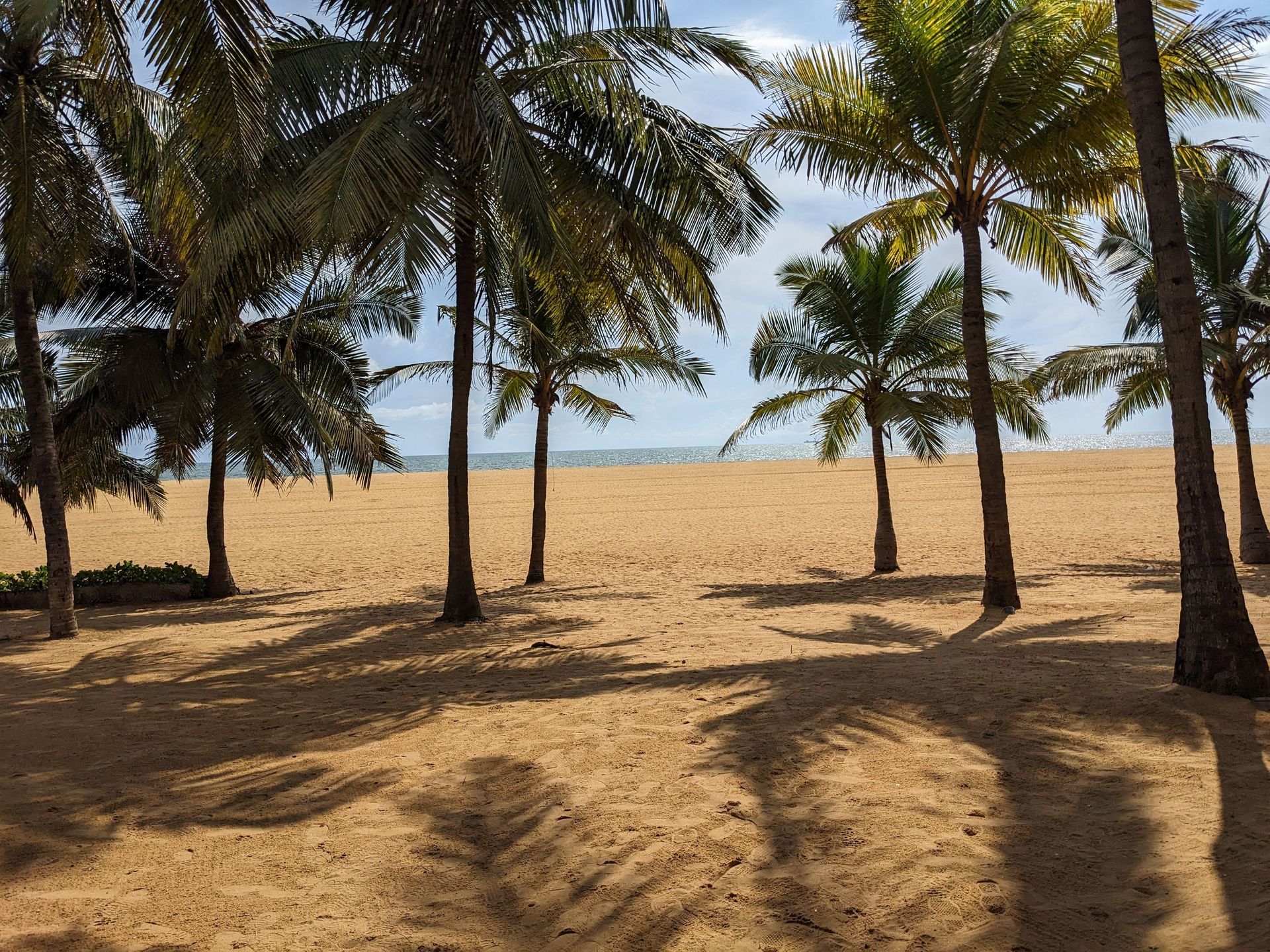 Découvrez la beauté sereine de la plage bordée de palmiers de Negombo, avec ses rivages de sable et sa vue apaisante sur l'océan.