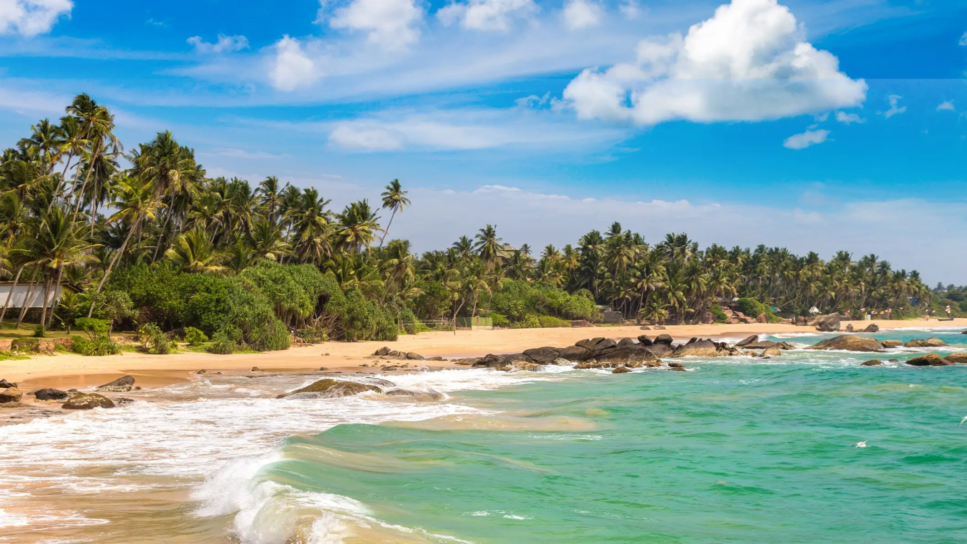 Plage d'eau turquoise du Tangalle avec palmiers au Sri Lanka
