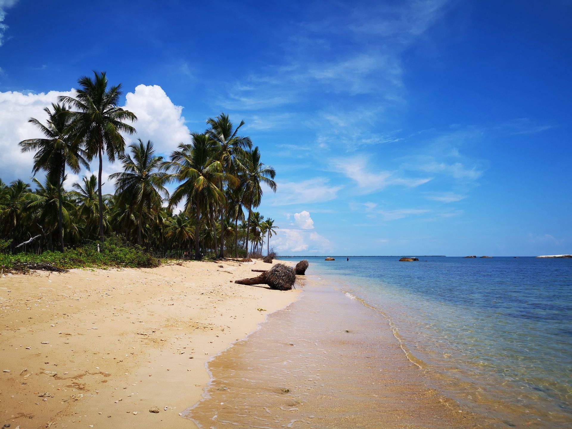 Plage tropicale sereine avec des palmiers et un océan bleu à Pasikuda, Sri Lanka.