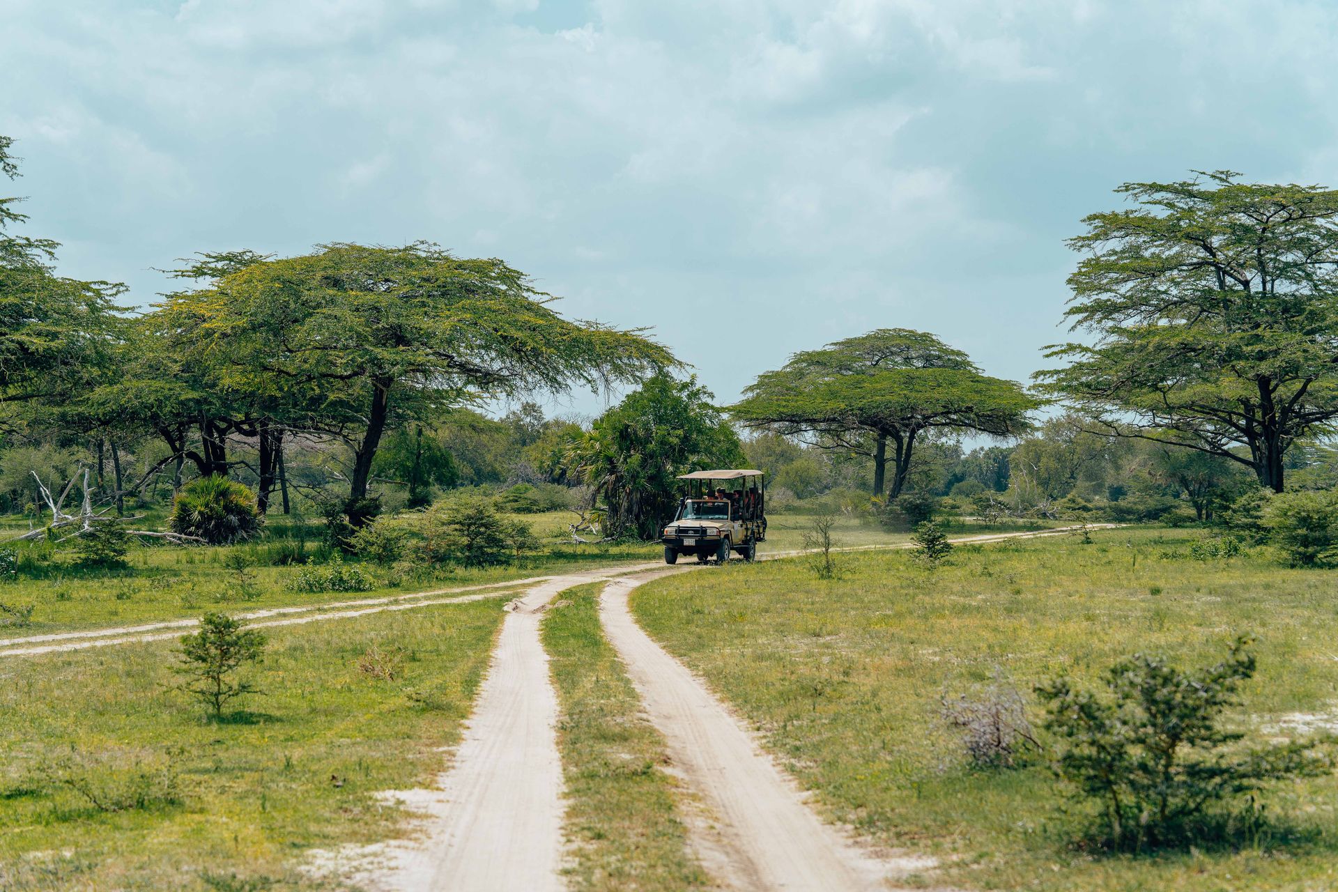 Un véhicule de safari roulant à travers un paysage africain luxuriant avec des acacias sur une route non pavée.