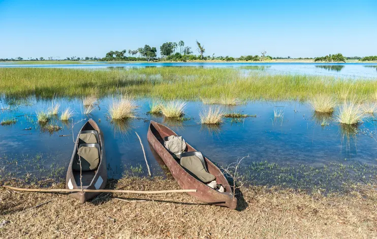 Mokoro (aviron canoë) dans le Delta de l'Okavango