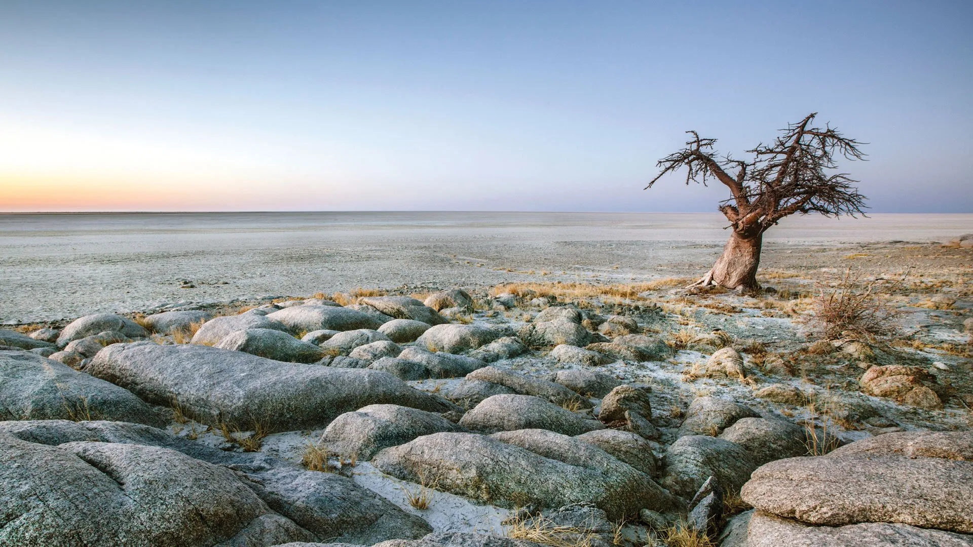 Des baobabs agrémentent à côté de grandes salt pan