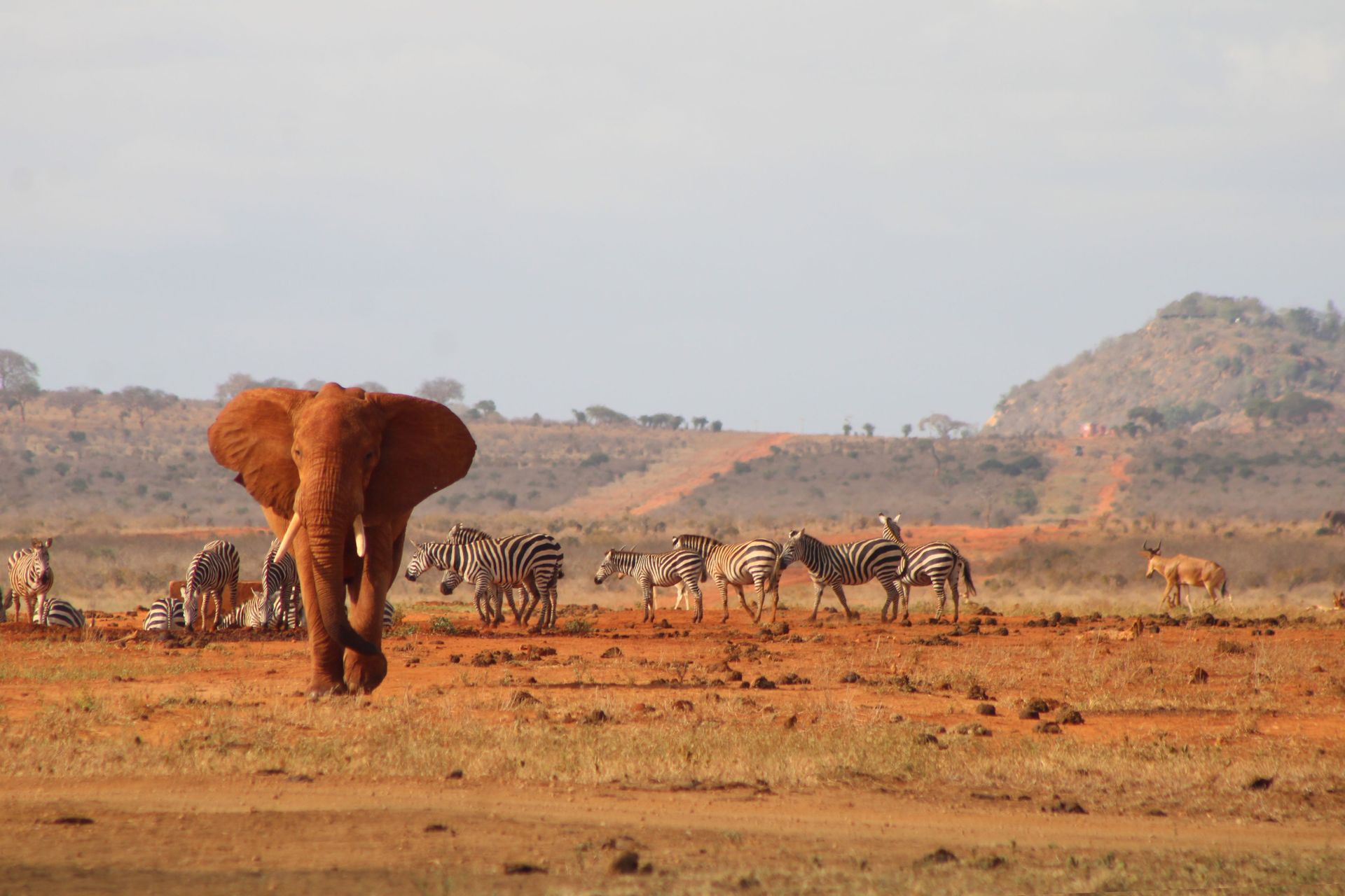 sejour-sur-mesure-kenya-tsavo-est.jpg