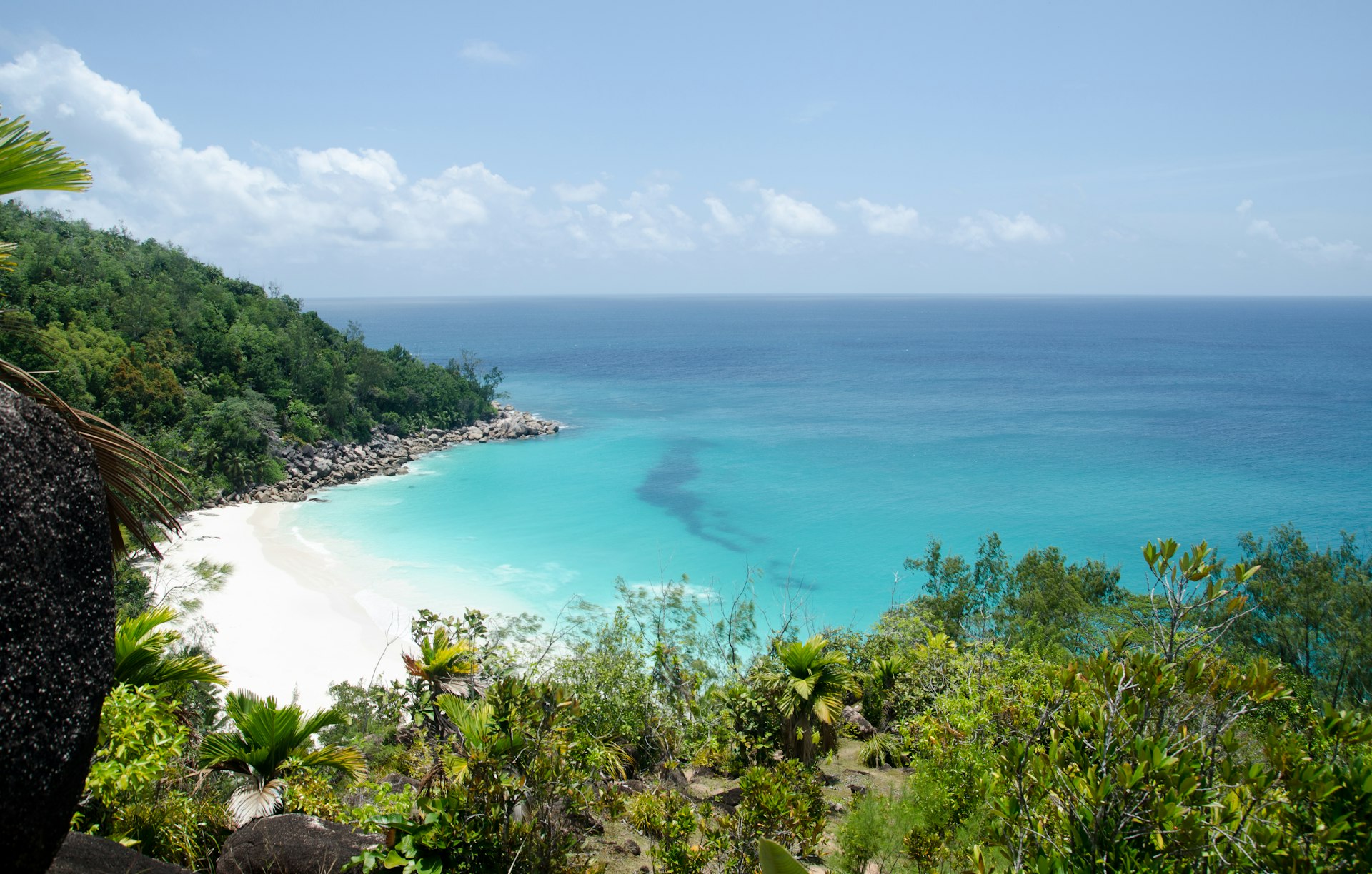 Vue aérienne et panoramique d'une plage de sable blanc et de l'eau turquoise sur l'île de Praslin aux Seychelles