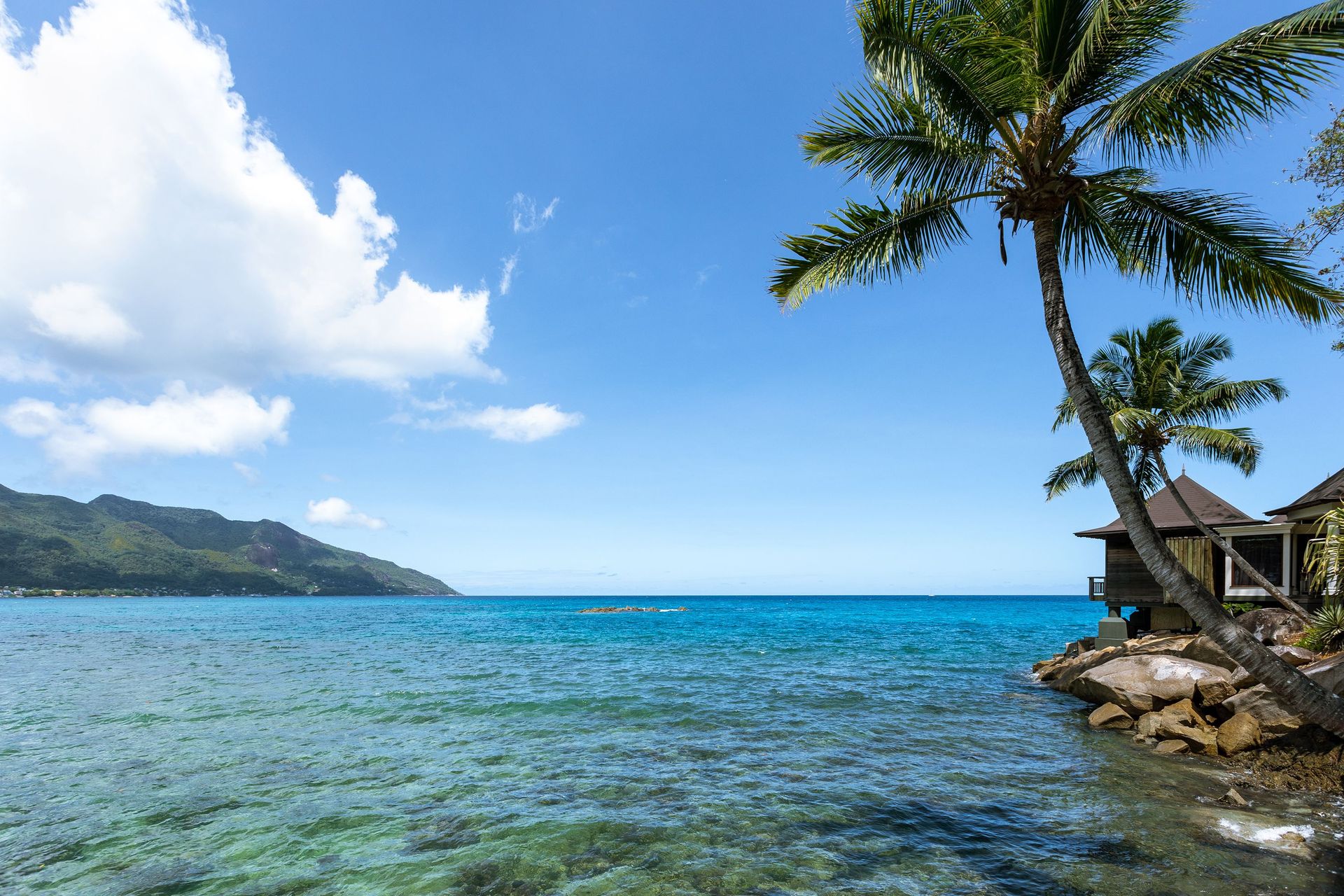 Scène de plage idyllique aux Seychelles avec un océan cristallin, des palmiers et un ciel bleu.