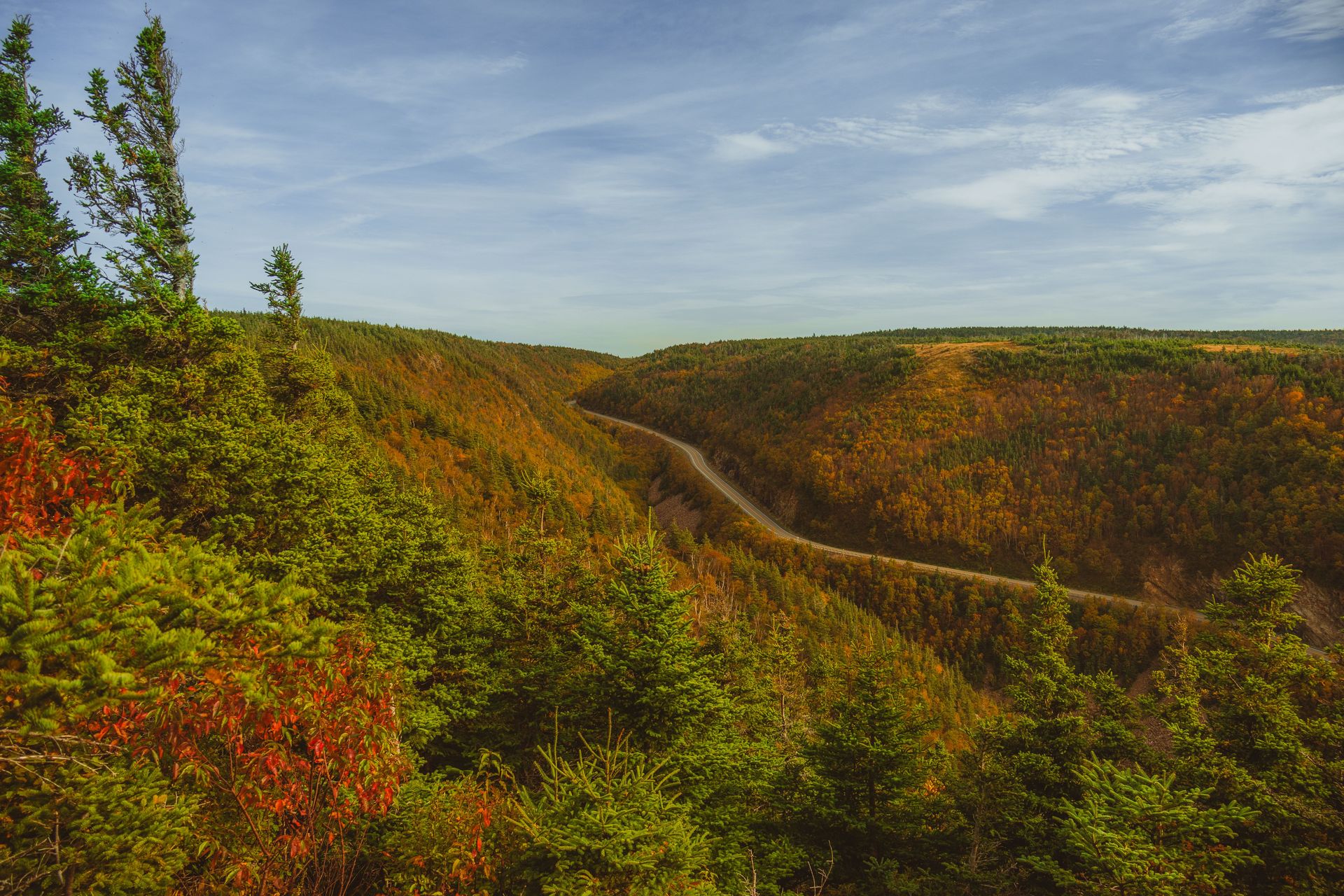 Foliage automnal vibrant le long d'une route sinueuse à Cape Breton, Nouvelle-Écosse, Canada.