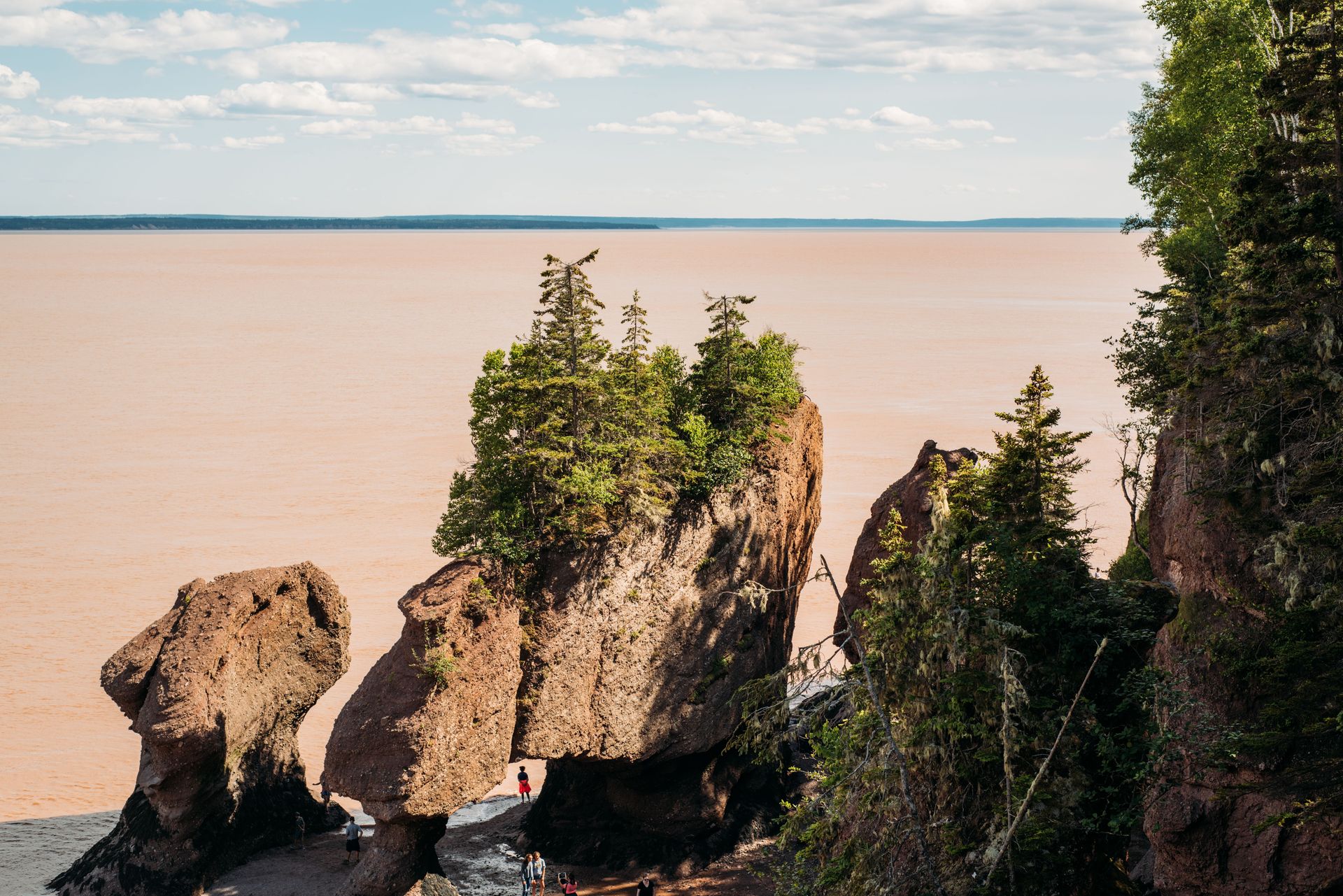 Vue époustouflante des Hopewell Rocks à la baie de Fundy, mettant en valeur des formations rocheuses majestueuses et des arbres verts vibrants sous un ciel dégagé.