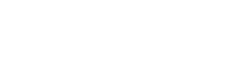 Logo blanc en partenariat avec Tourlane l'agence de voyage